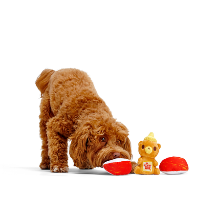 Squeaky New Year Bundle Plush Multi-Part Dog Toy - Image 2