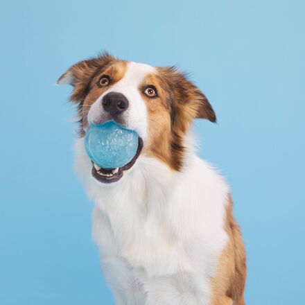 Chew Year's Ball Durable Super Chewer Fetch Dog Toy - Image 2