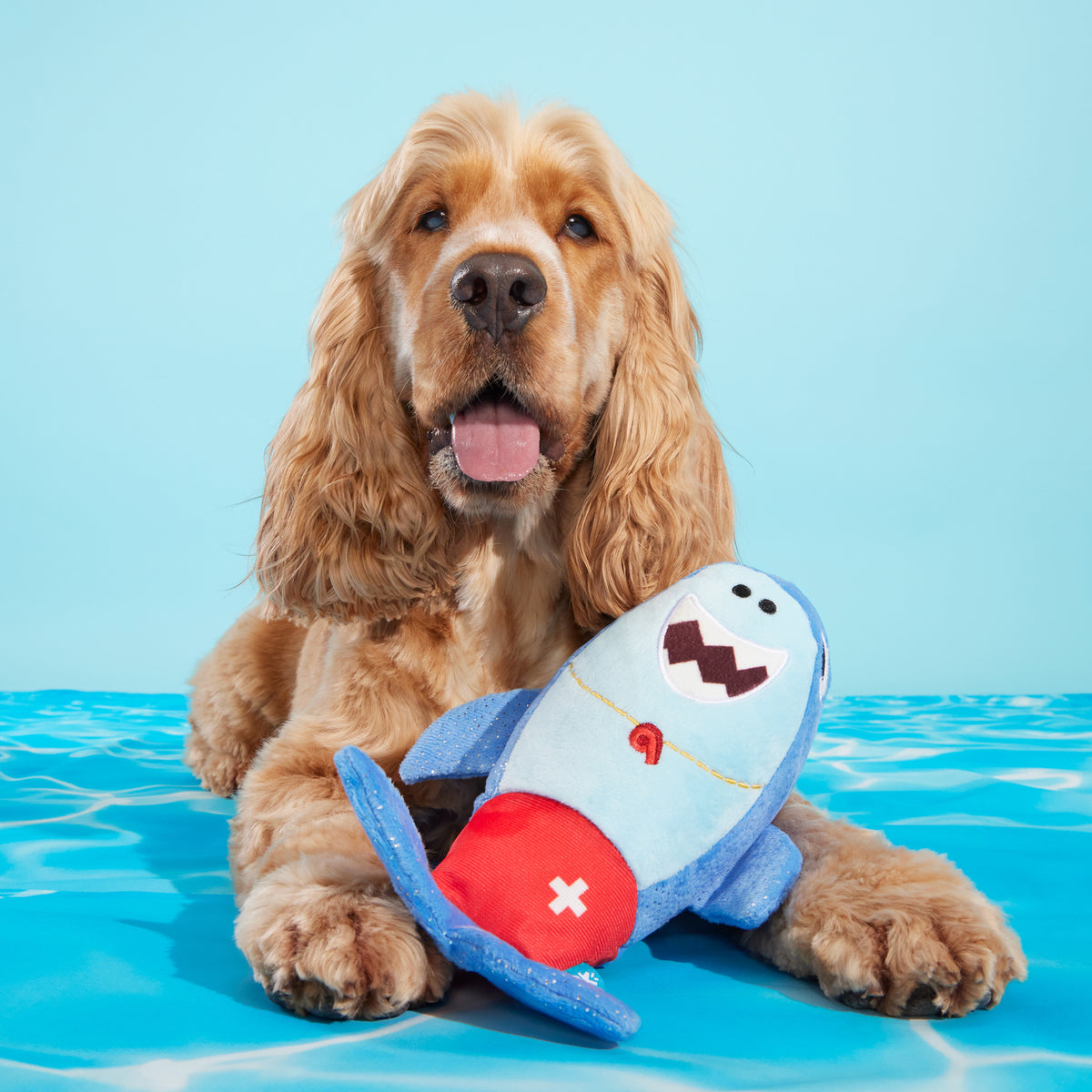 Pool Shark Shane Plush Tug Dog Toy - Image 5