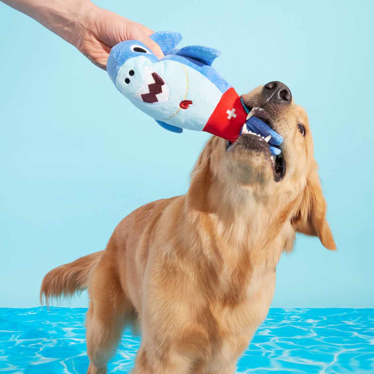 Pool Shark Shane Plush Tug Dog Toy - Image 3