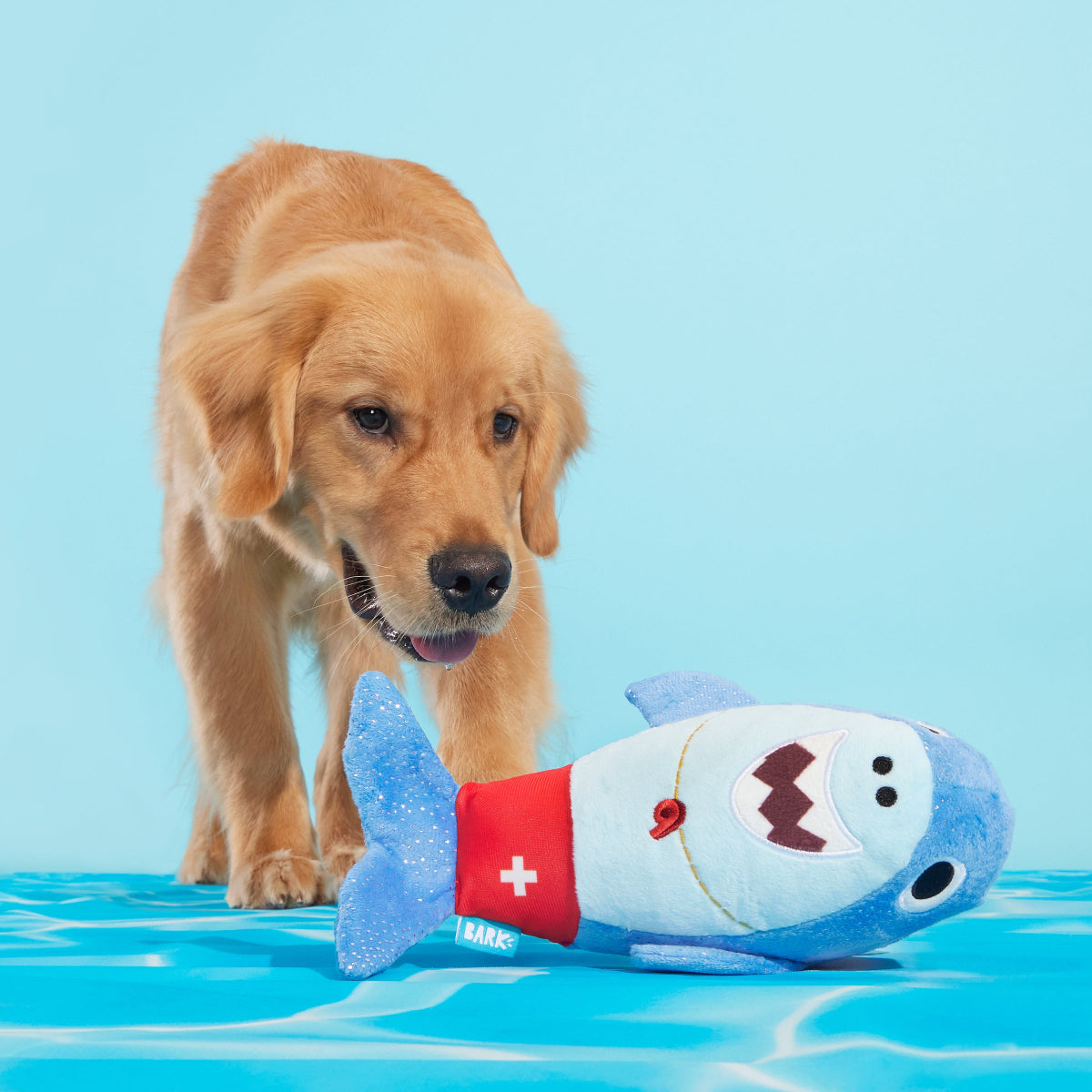Pool Shark Shane Plush Tug Dog Toy - Image 4