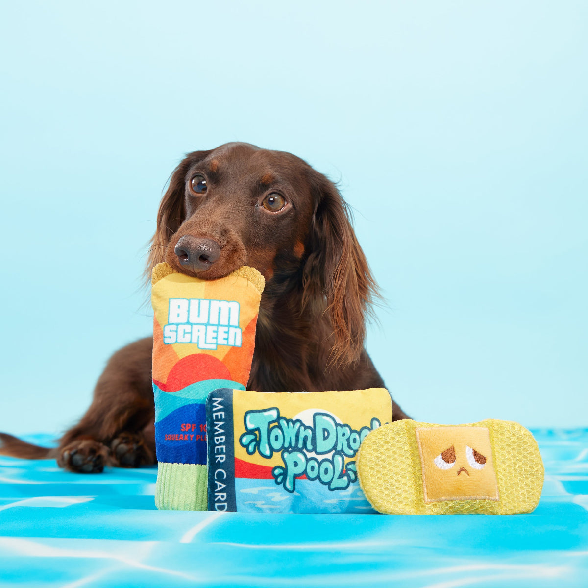Drool Pool Packup Plush Multi-Part Dog Toy - Image 4