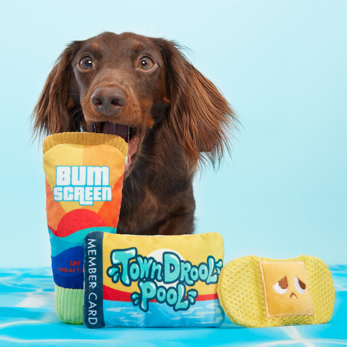 Drool Pool Packup Plush Multi-Part Dog Toy - Image 2