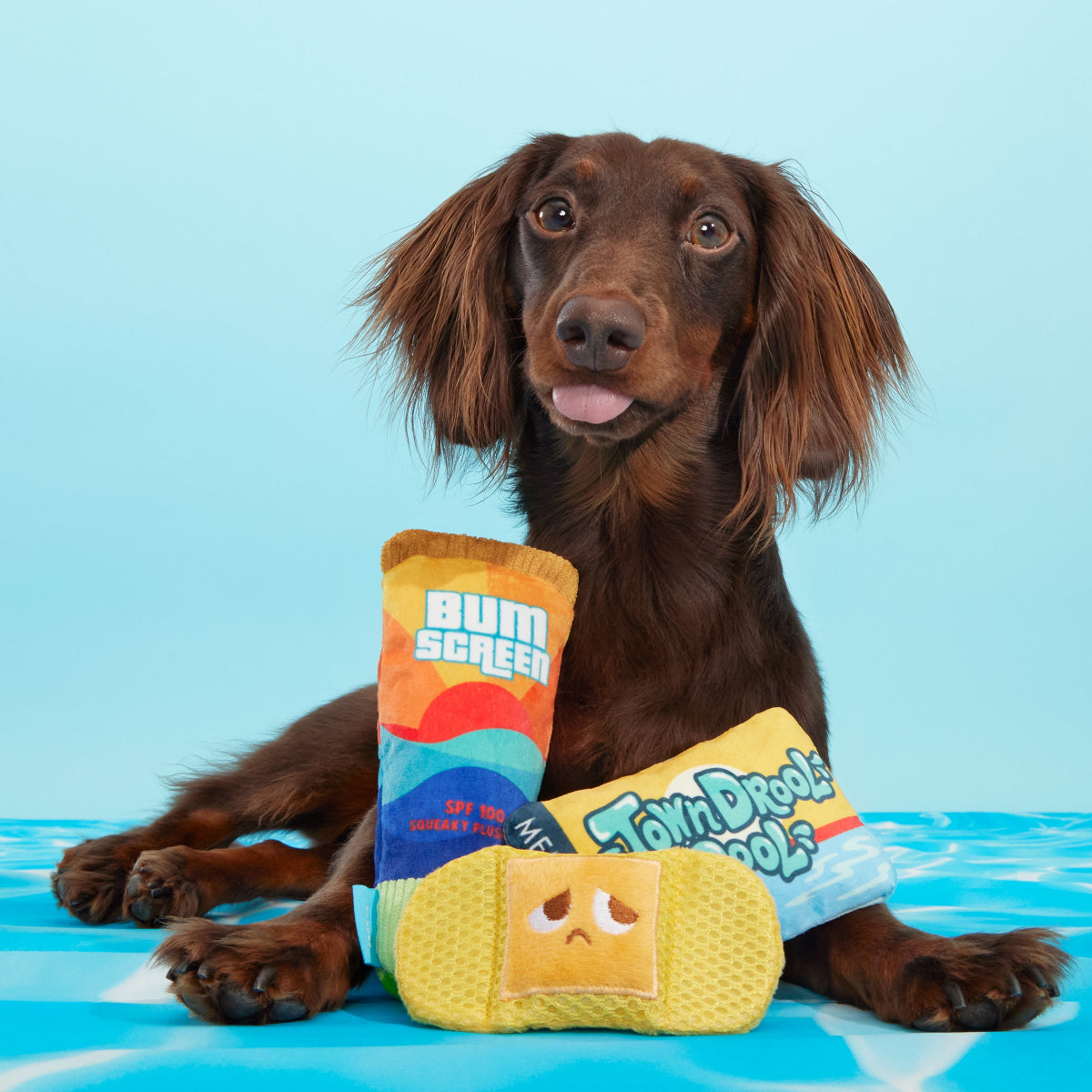 Drool Pool Packup Plush Multi-Part Dog Toy - Image 3