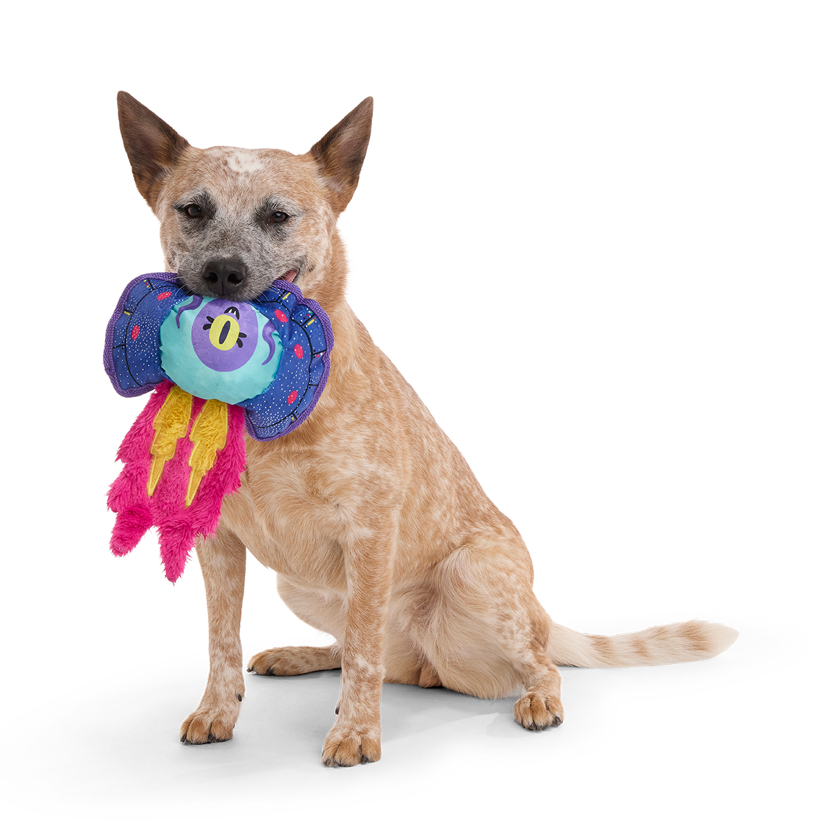 Blast Arf! Plush Tug Dog Toy - Image 2