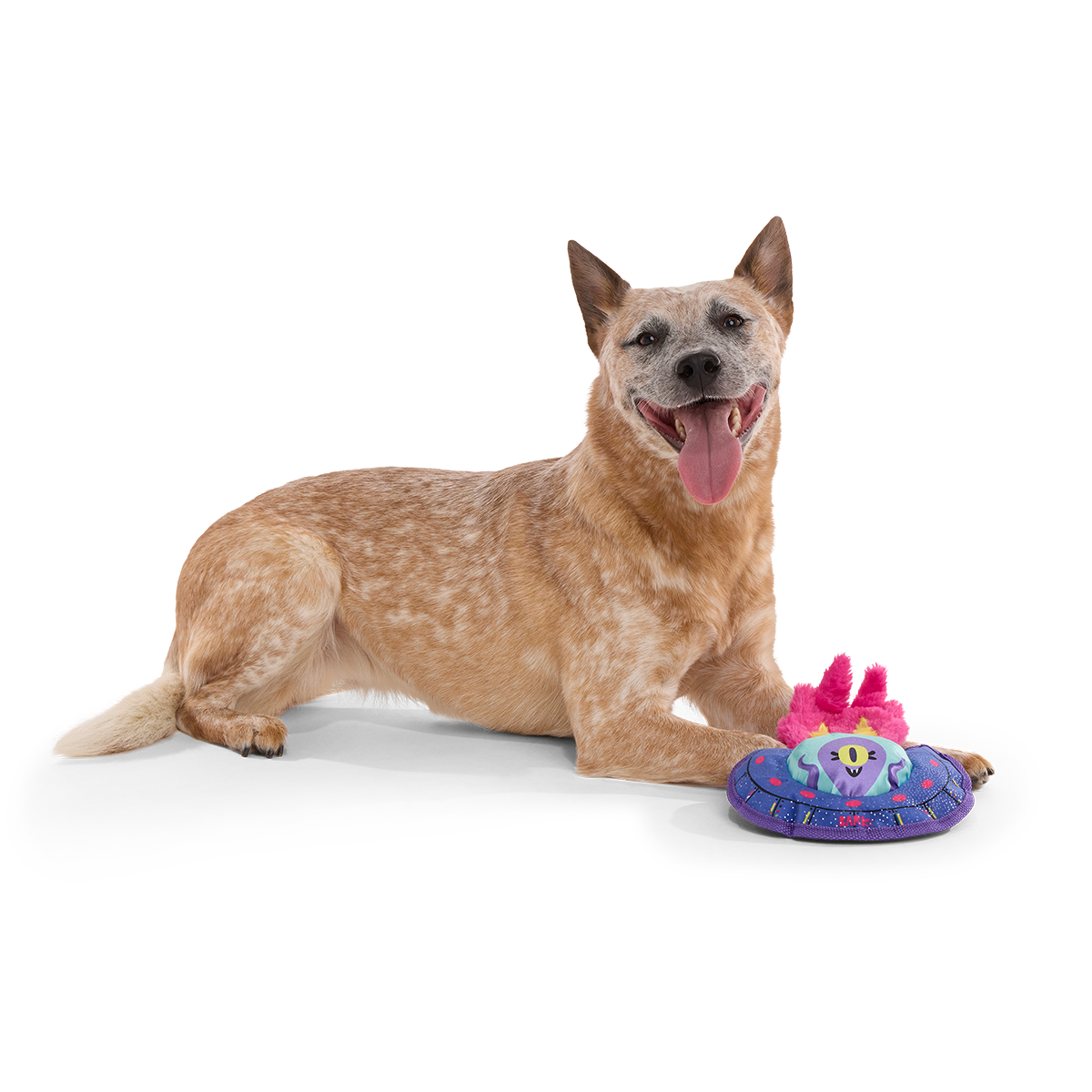 Blast Arf! Plush Tug Dog Toy - Image 3