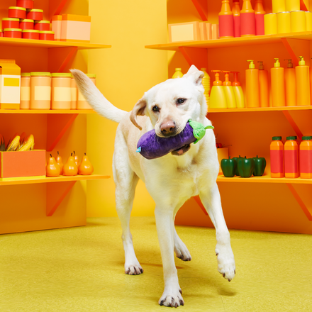Double Trouble Veggies Multi-Part Dog Toy - Image 4