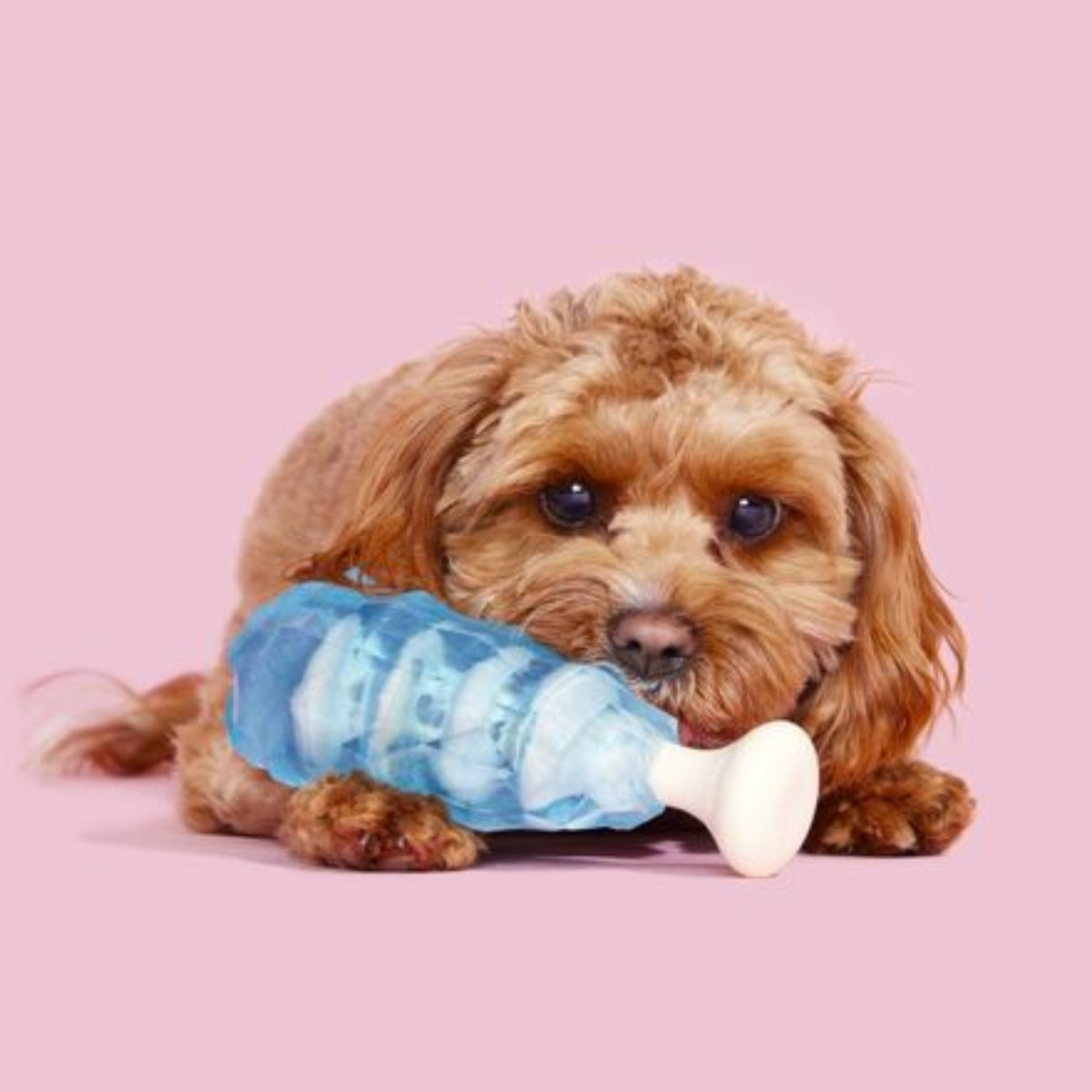 Dandy Blue Rock Candy Super Chewer Durable Gnaw Dog Toy - Image 3