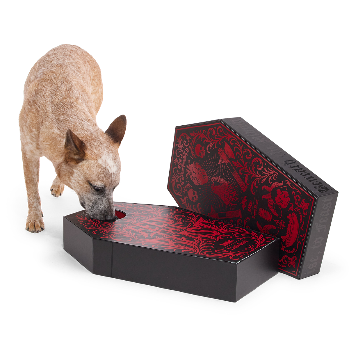 BARK x Liquid Death Feed the Beast Consumables Packup - Image 8