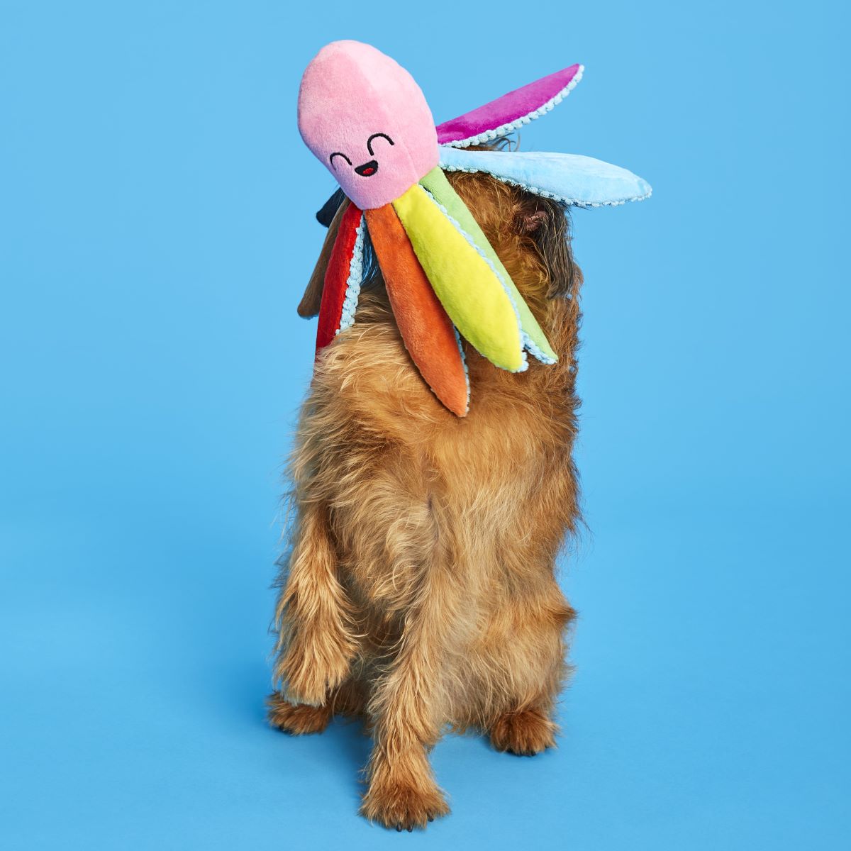 Out Ollie Plush Tug Dog Toy - Image 2