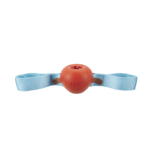 One Bad Apple Super Chewer Durable Tug + Enrichment Dog Toy