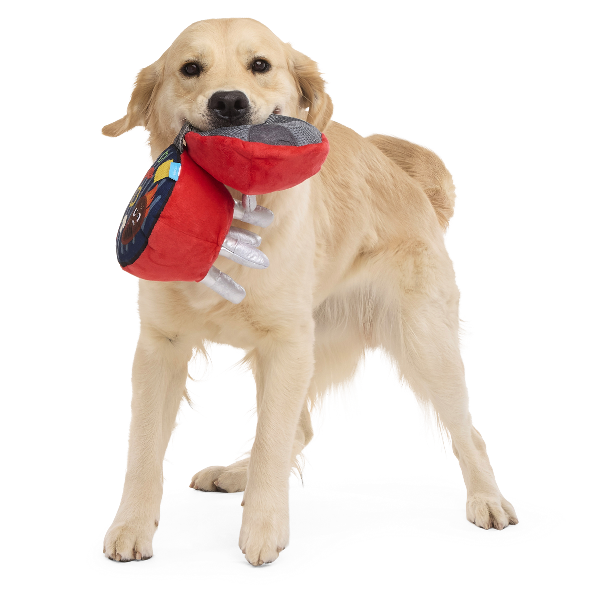 Grrrrill Master Plush Tug Dog Toy - Image 4