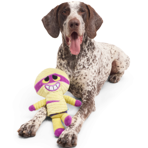 Unravelin' Evan Plush Extra Large + Tug Dog Toy