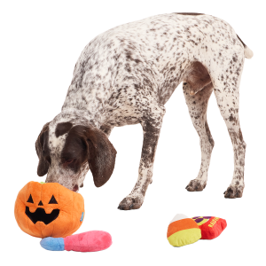 Howl-o-ween Haul Plush Extra-Large + Multi-Part + Enrichment Dog Toy
