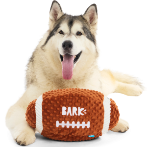 Wide Retriever Plush Extra-Large + Fetch Dog Toy