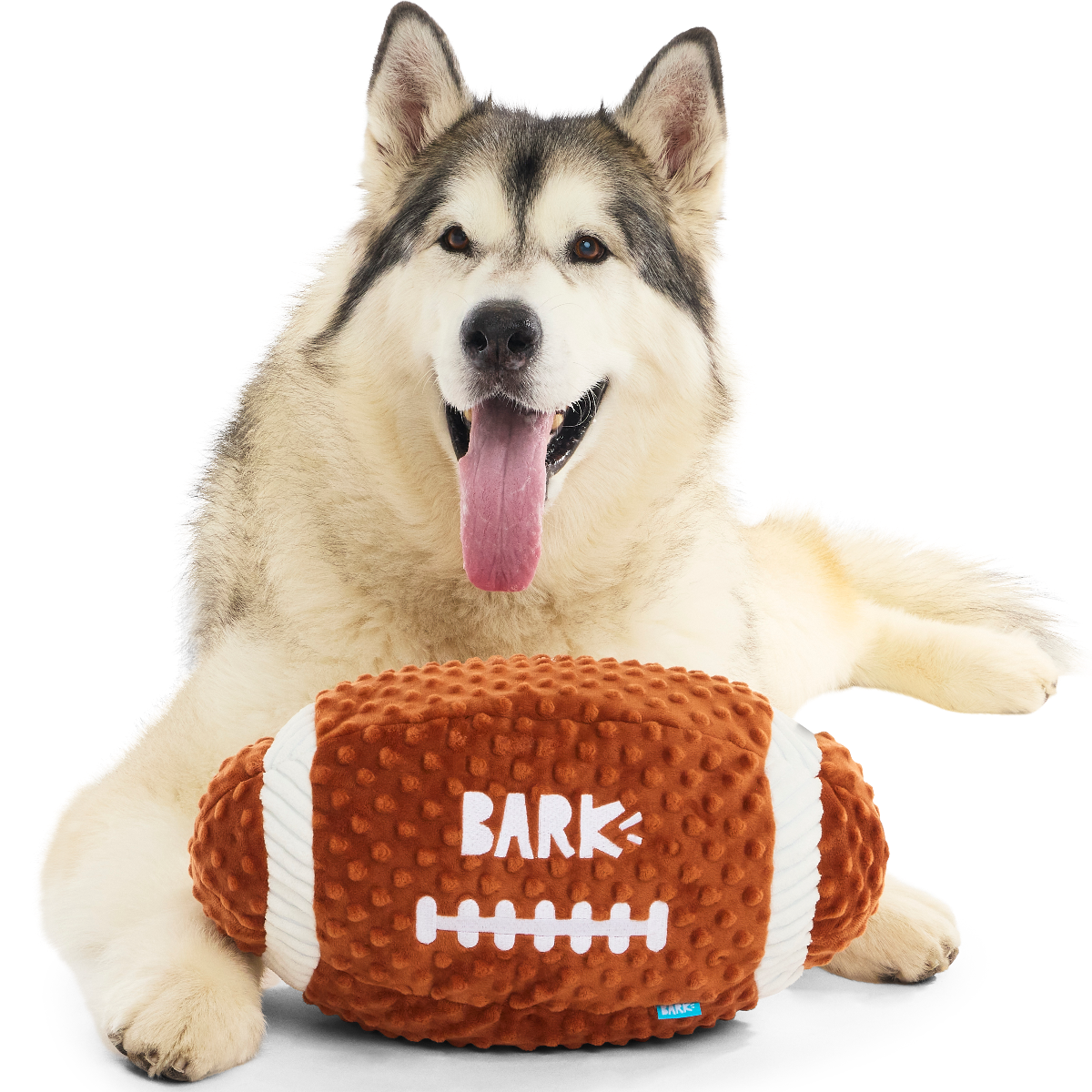 Wide Retriever Plush Extra-Large + Fetch Dog Toy