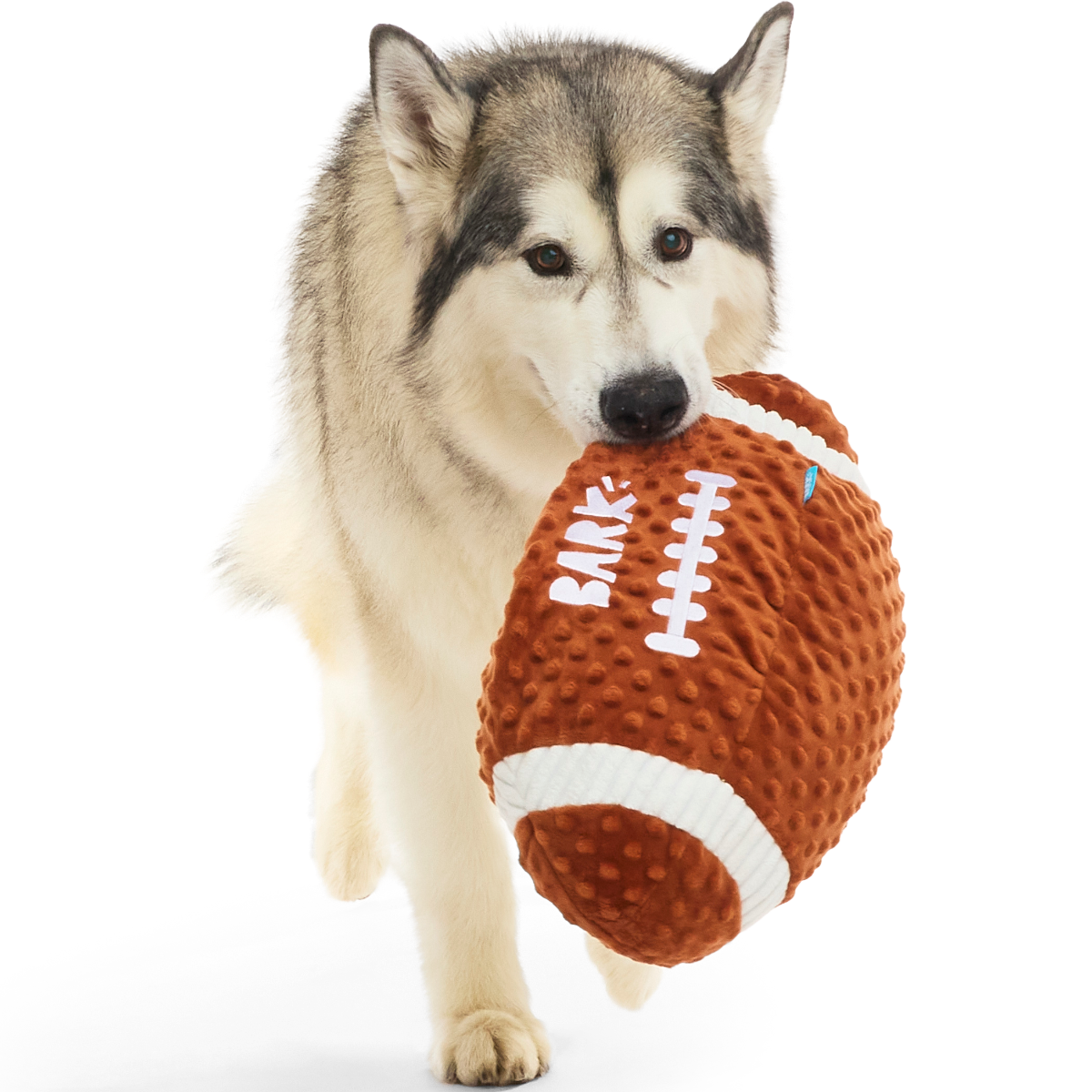 Wide Retriever Plush Extra-Large + Fetch Dog Toy - Image 2