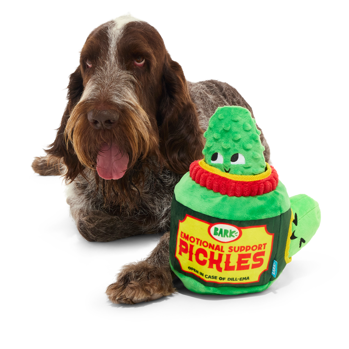 Dill-emma Squad Pickle Plush Extra-Large + Multi-Part Dog Toy