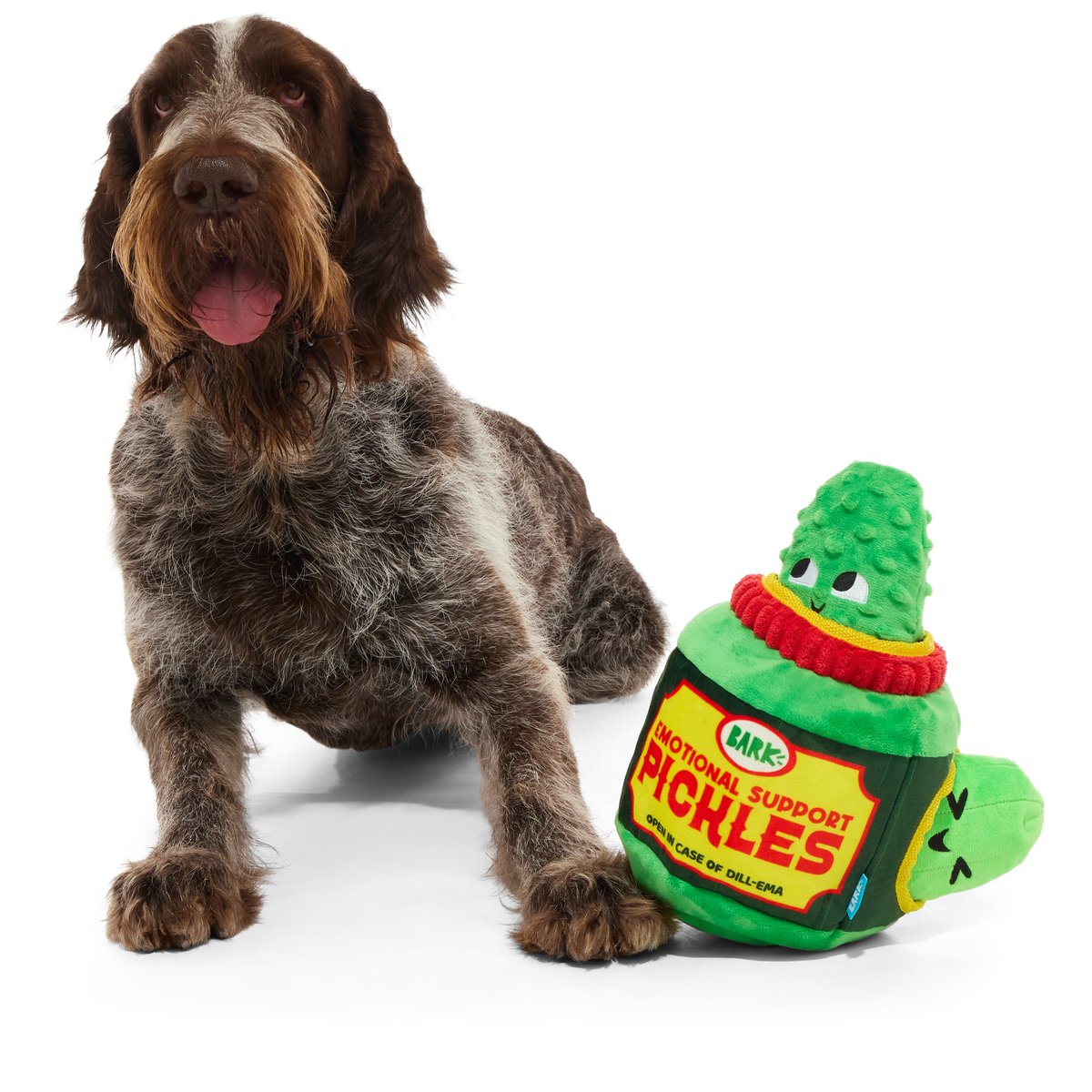 Dill-emma Squad Pickle Plush Extra-Large + Multi-Part Dog Toy - Image 6