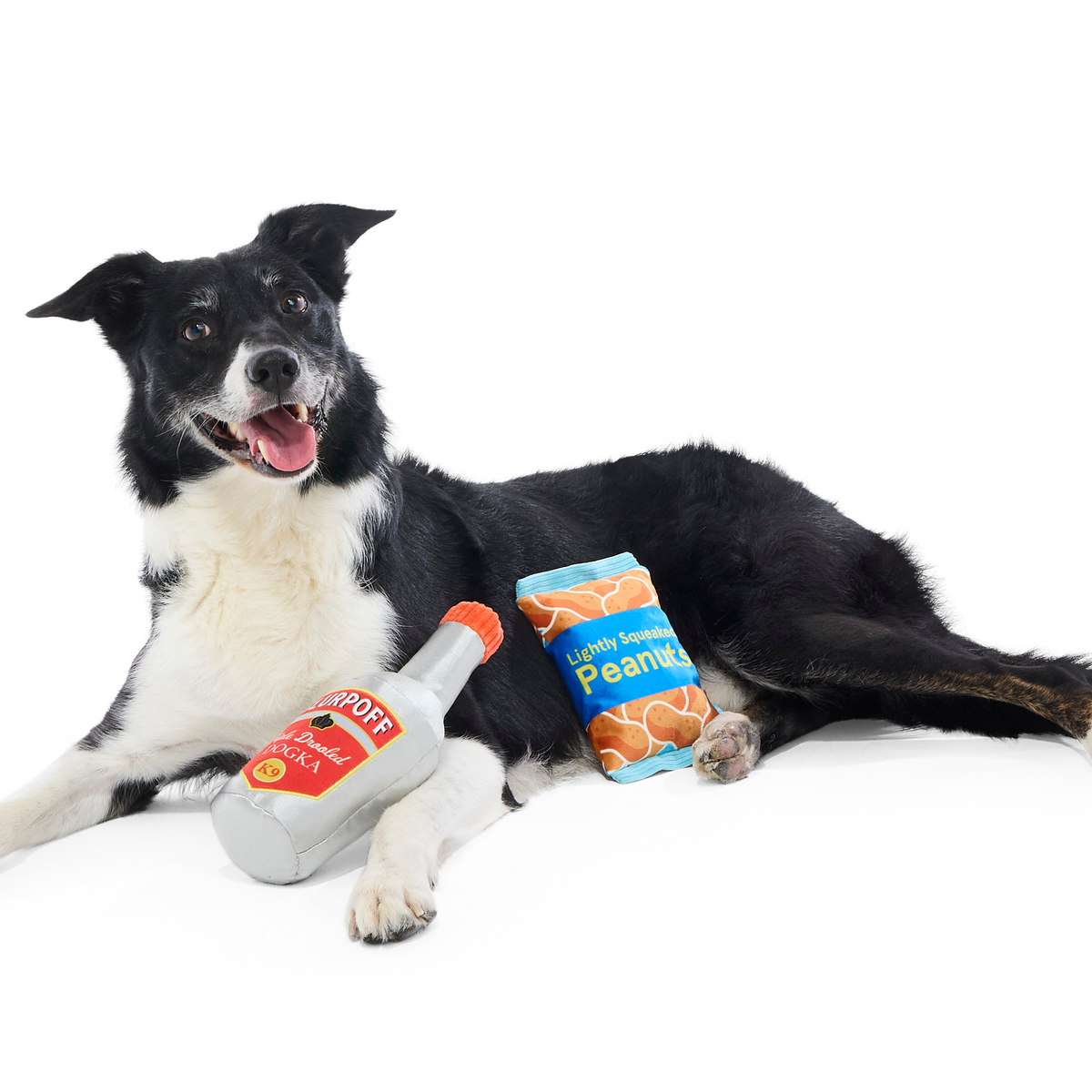 Please Remain Treated Plush Multi-Part Dog Toy - Image 2