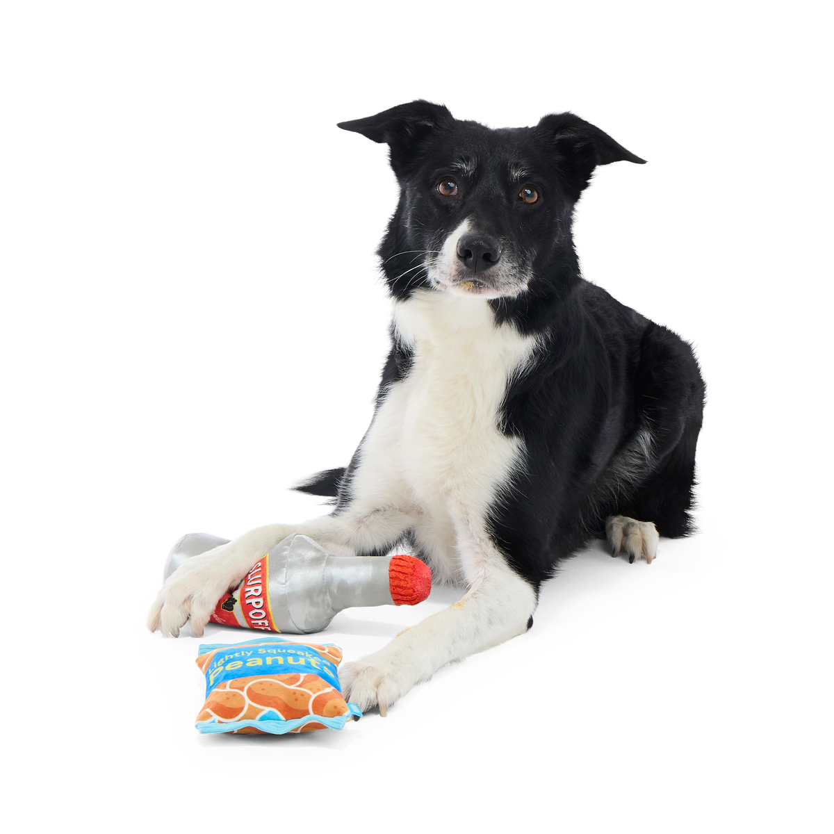 Please Remain Treated Plush Multi-Part Dog Toy - Image 3
