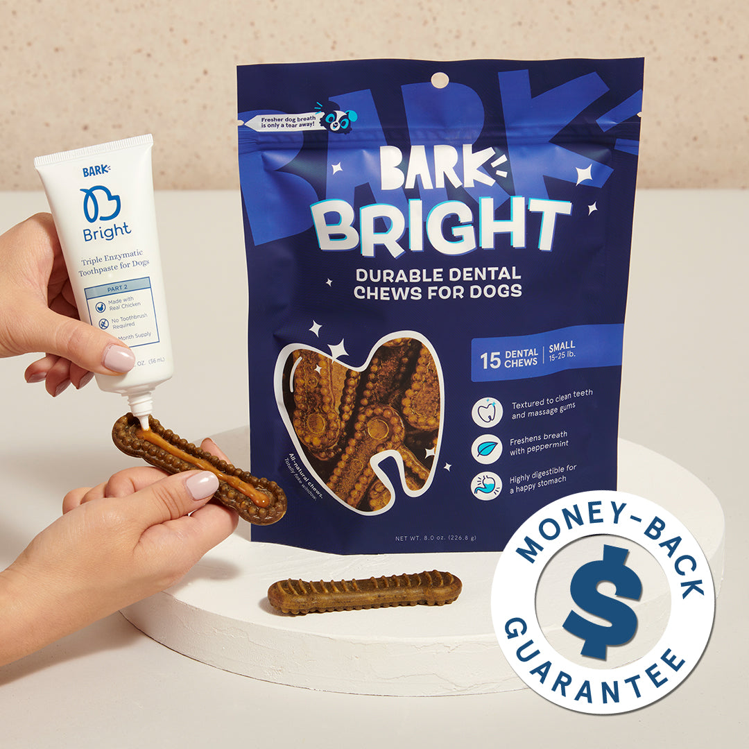 Bright Durable Dental Kit. 15 Ct Chews + Toothpaste - Image 4