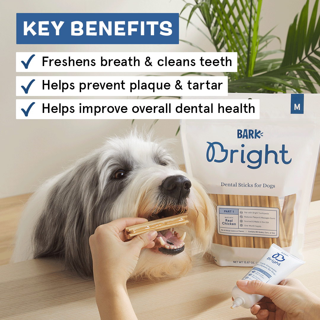 Bright Original Dental Kit. 30 Ct Chews + Toothpaste - Image 5