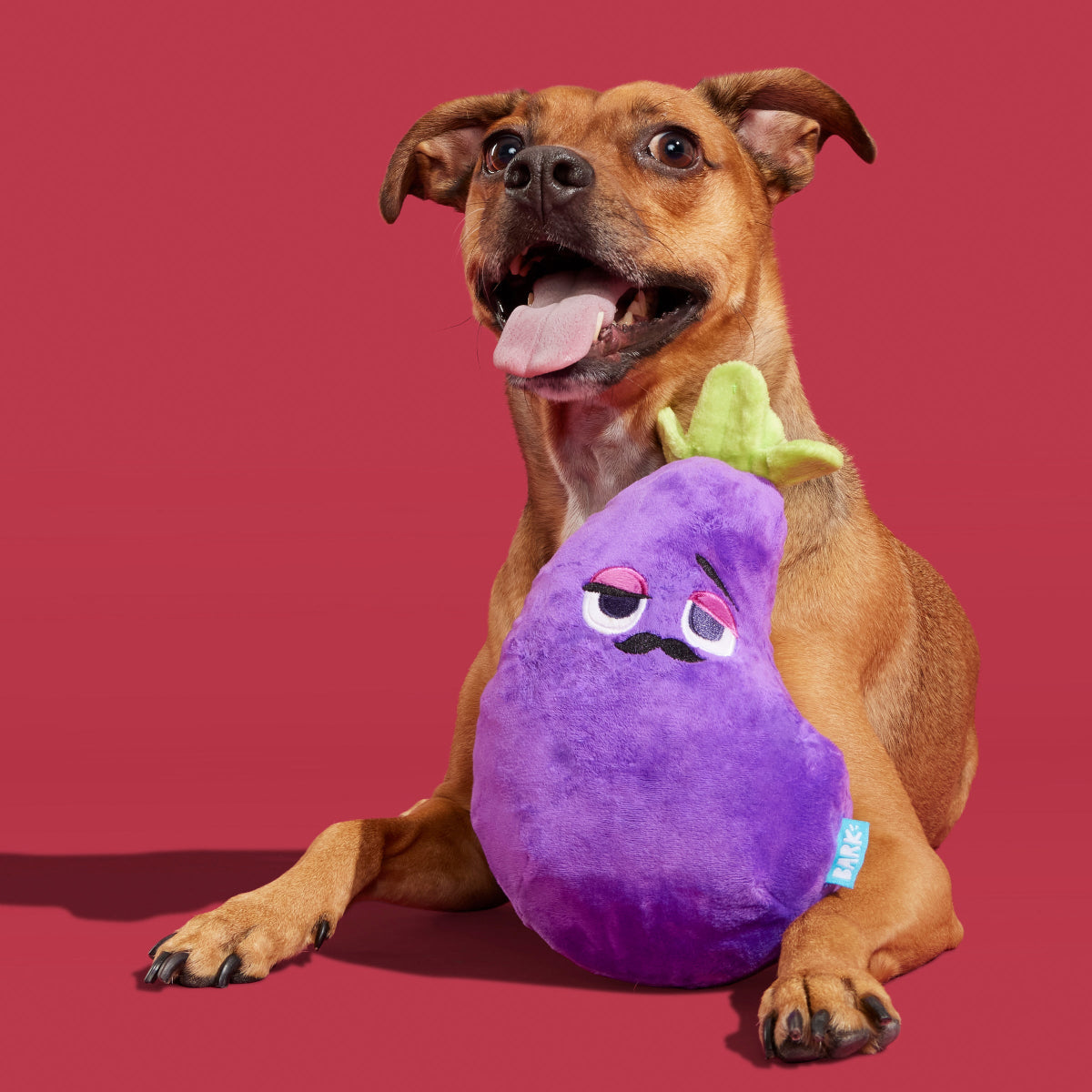 Big Babbo Plush Tug Dog Toy - Image 4