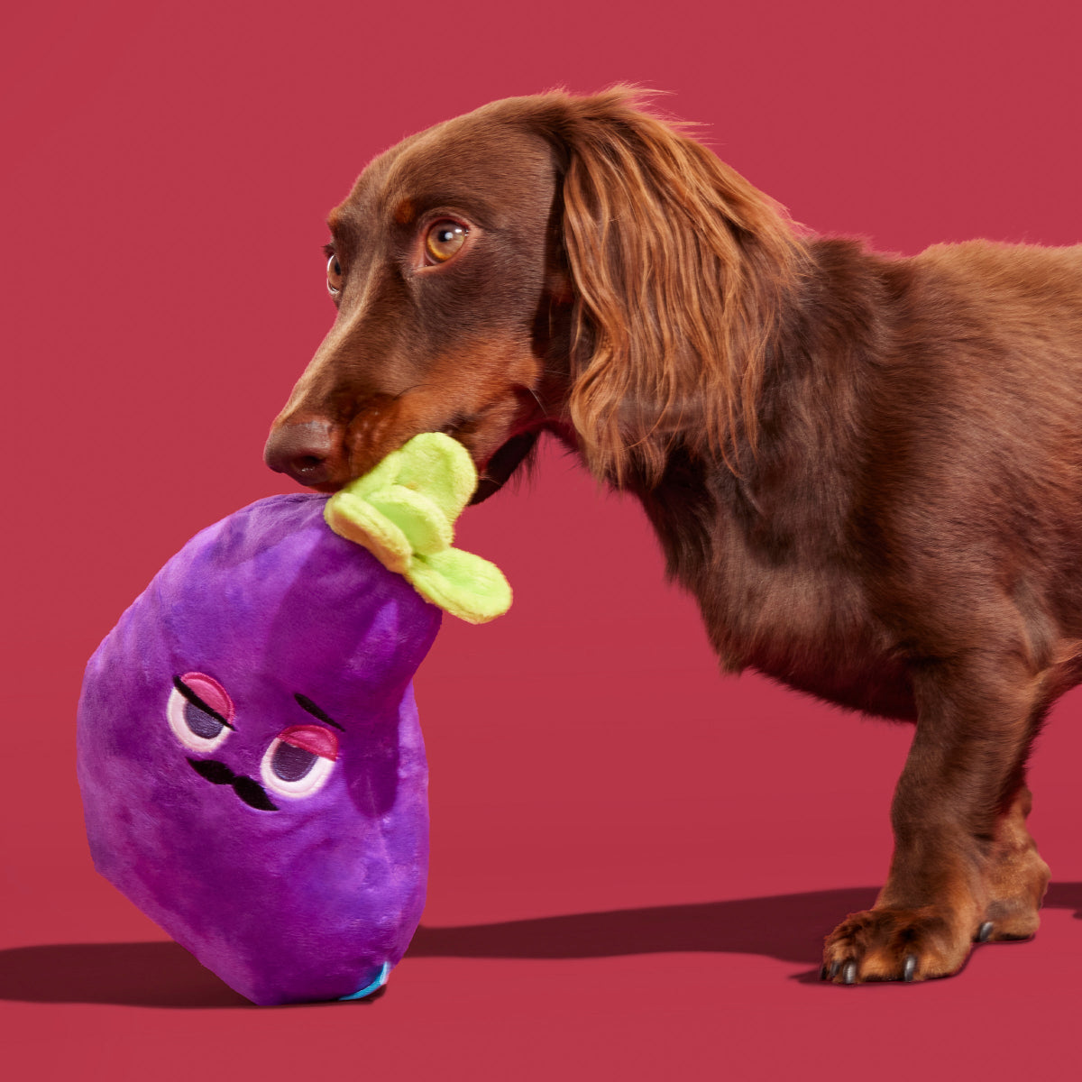 Big Babbo Plush Tug Dog Toy - Image 3