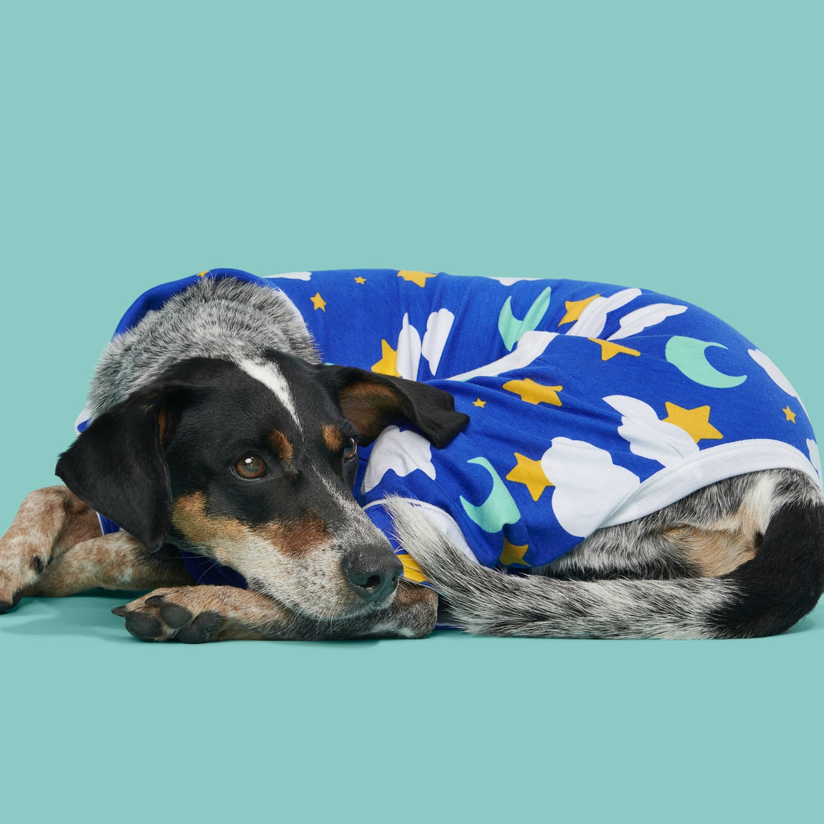 Slumber Party Dog Pajamas - Image 6