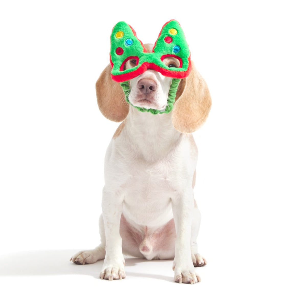 Howliday Spectacles Pack Plush Wearable Tug Dog Toy - Image 2