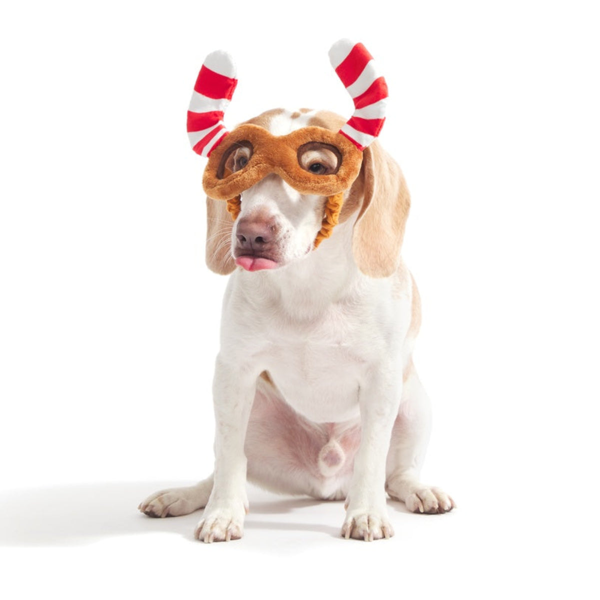 Howliday Spectacles Pack Plush Wearable Tug Dog Toy - Image 3