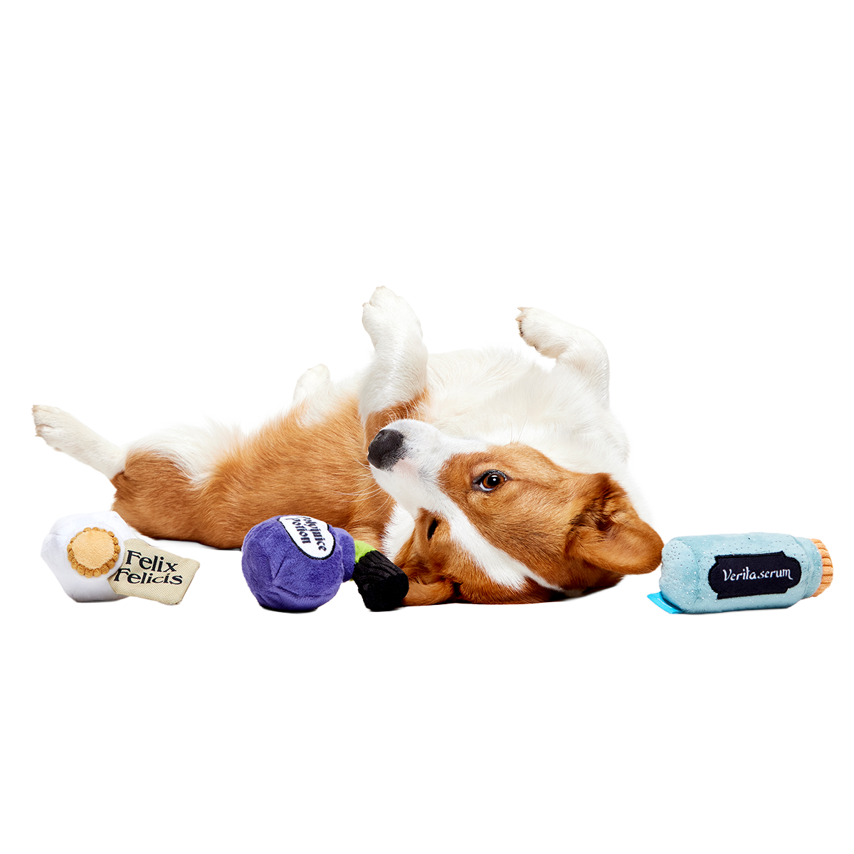 Potions Class Pack™ Plush Multi-Part Dog Toy - Image 3