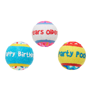 Party Fetchers Plush Multi-Part Fetch Dog Toy