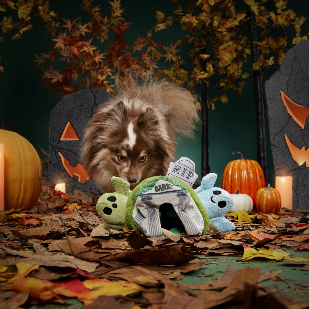 Now You See 'Em Mausoleum Plush Multi-Part + Enrichment Dog Toy - Image 6