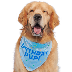 Birthday Dog Bandana