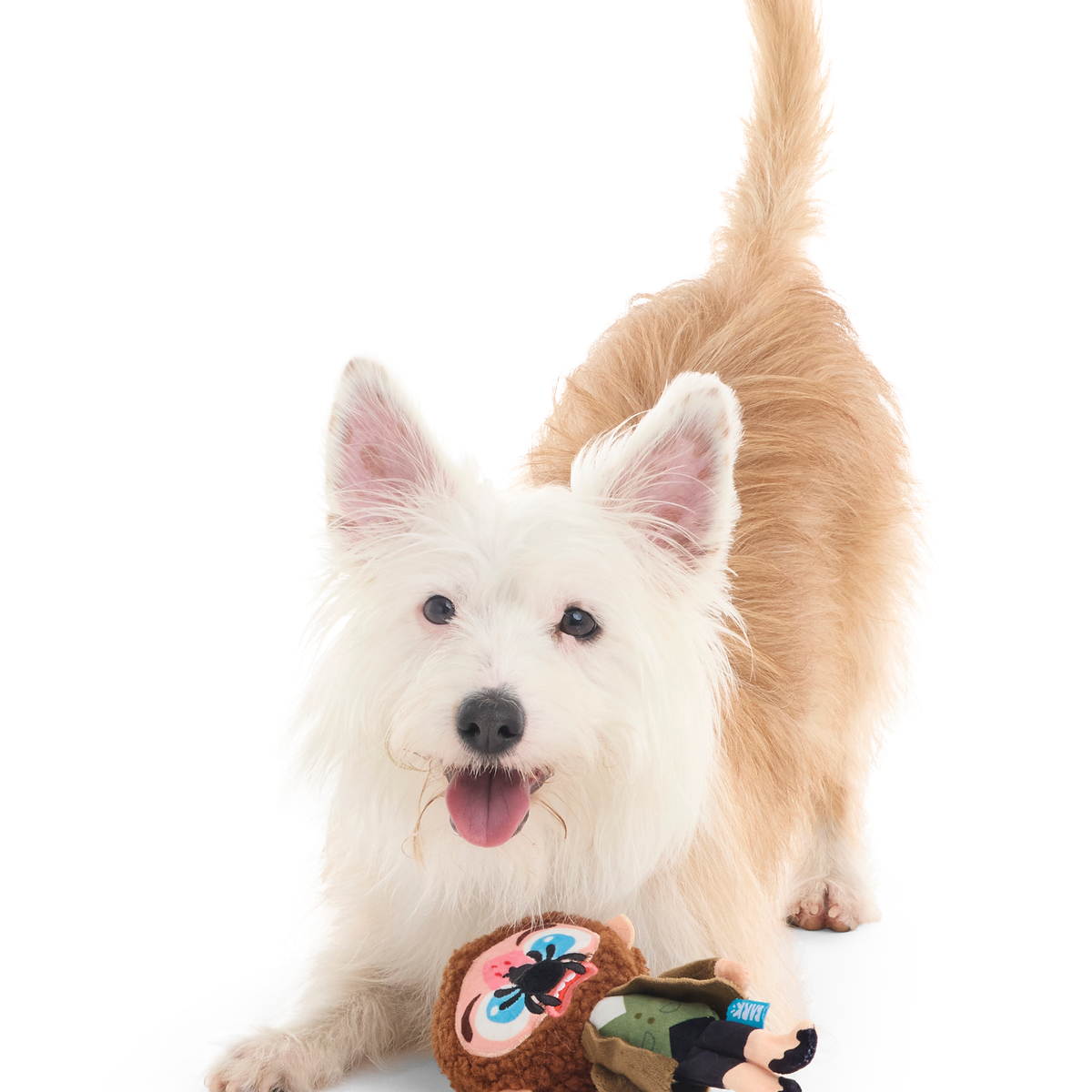 Marv Plush Tug Dog Toy - Image 3