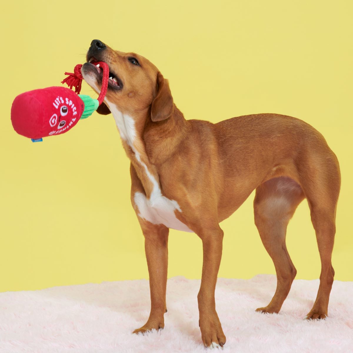 Hot Stuff Plush Tug Dog Toy - Image 5