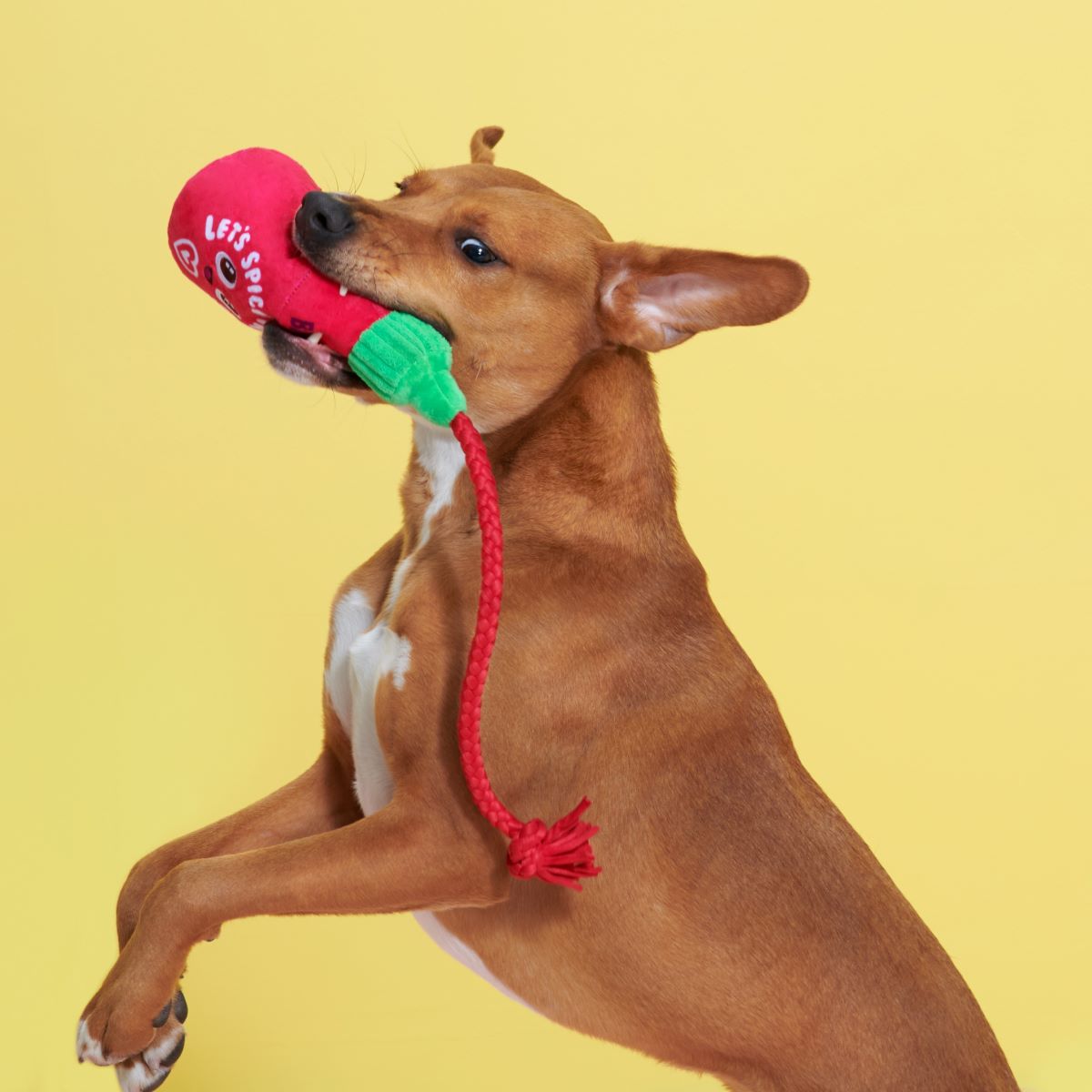 Hot Stuff Plush Tug Dog Toy - Image 6