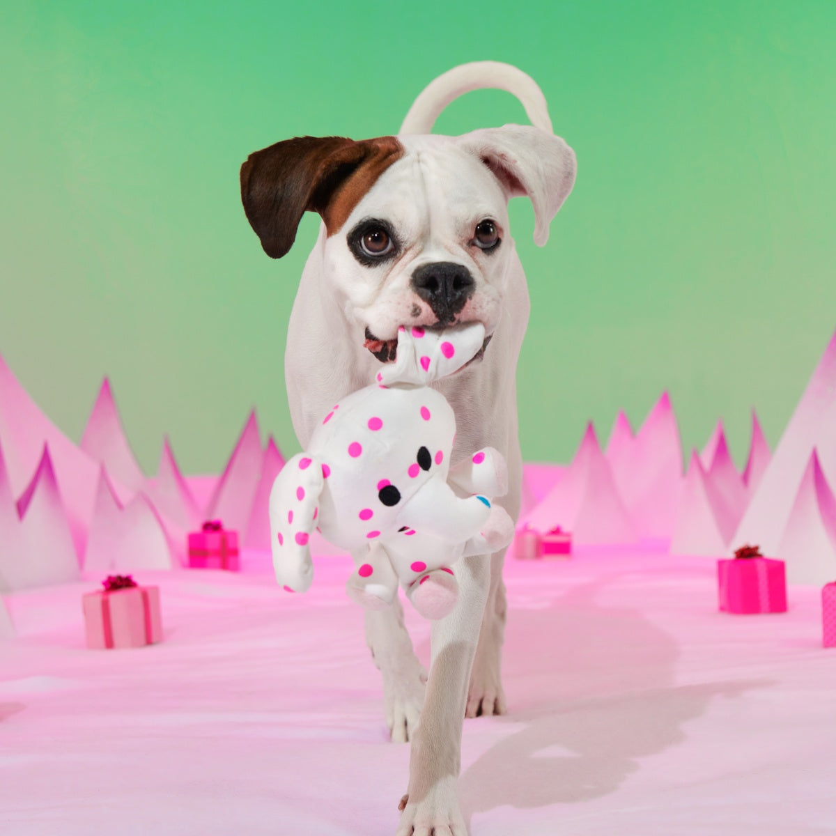 Spotted Elephant™ Plush Tug Dog Toy - Image 2