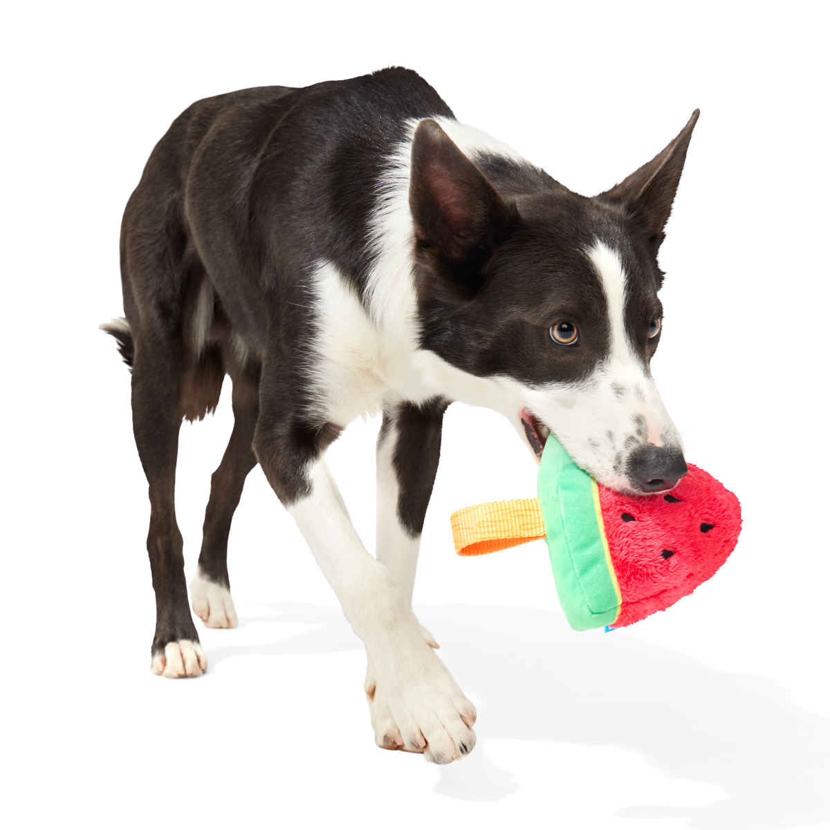Slobbermelon Pop Plush Tug Dog Toy - Image 3
