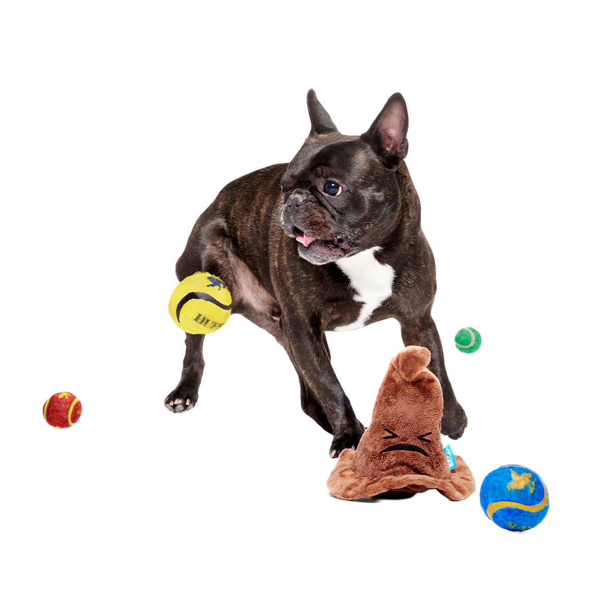 The Sorting Hat™ Plush 2-in-1 + Fetch Dog Toy - Image 11