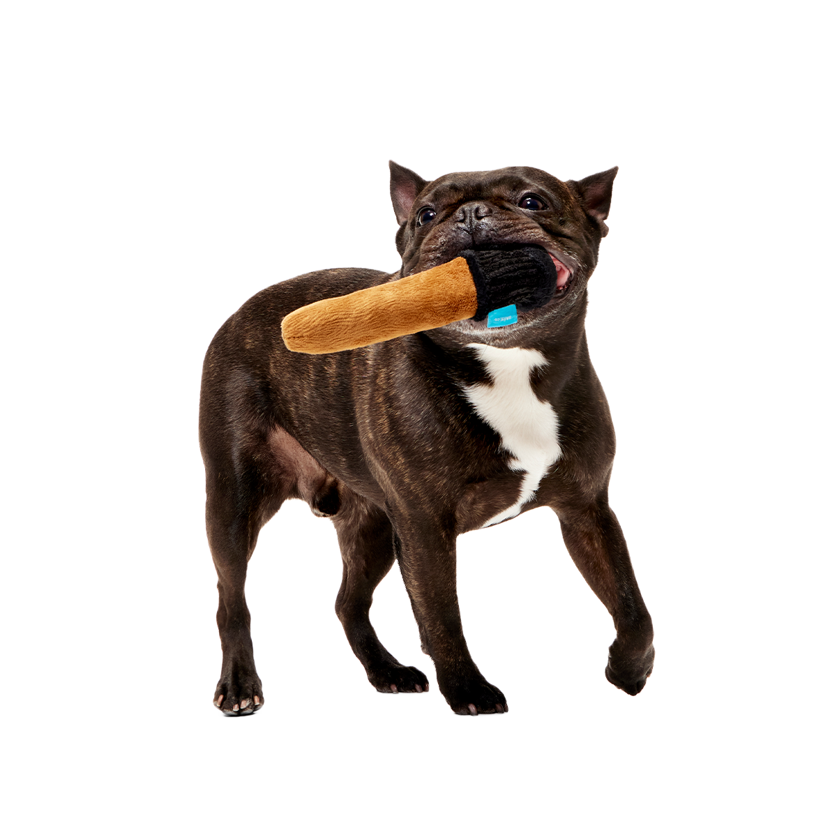 Spellbinding Wand™ Plush Tug Dog Toy - Image 3
