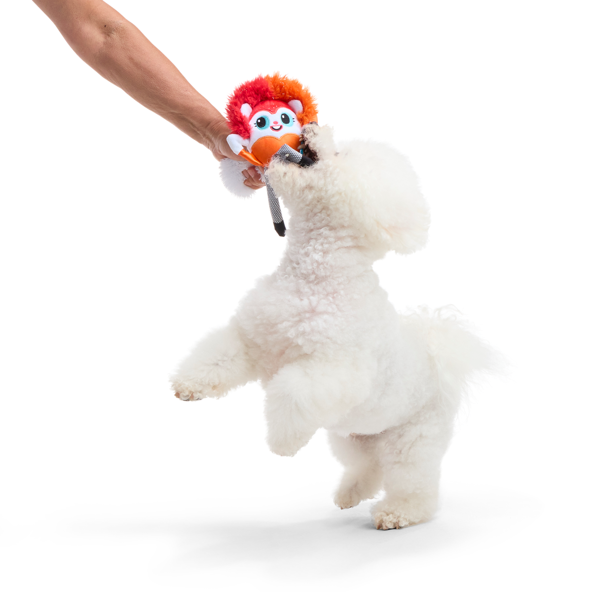 Showsquirrel Plush Tug Dog Toy - Image 4