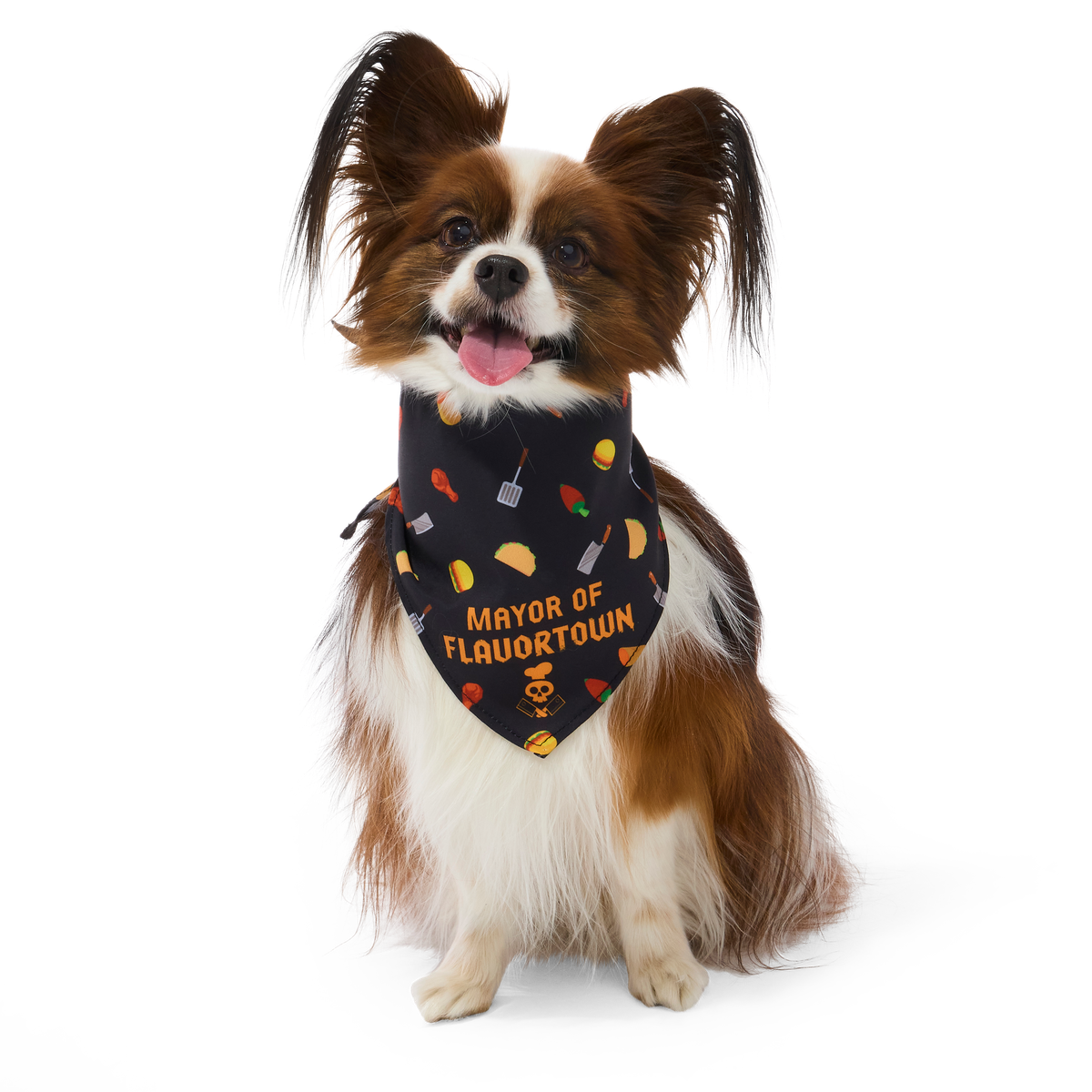 Flavortown™ Dog Bandana - Image 5