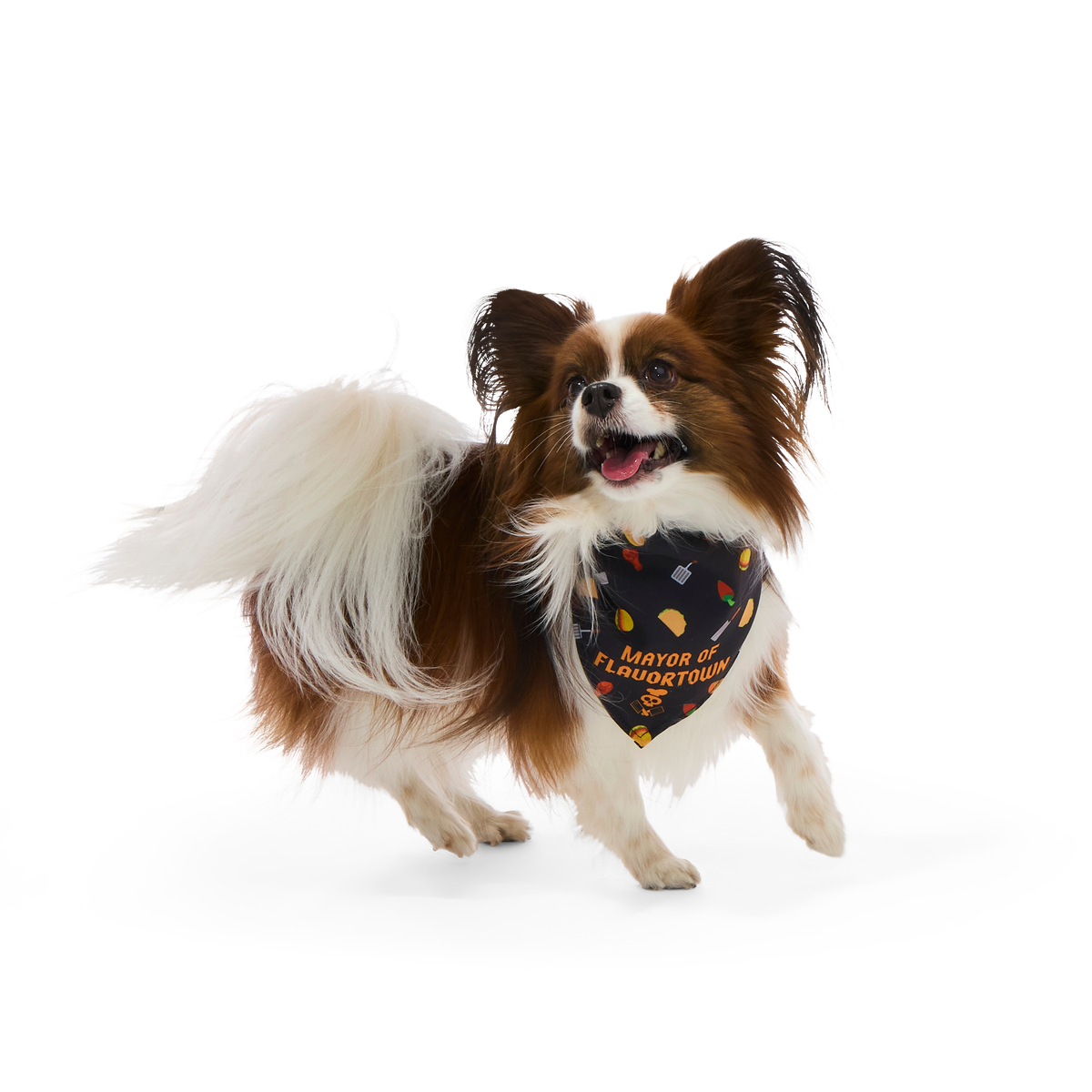Flavortown™ Dog Bandana - Image 9