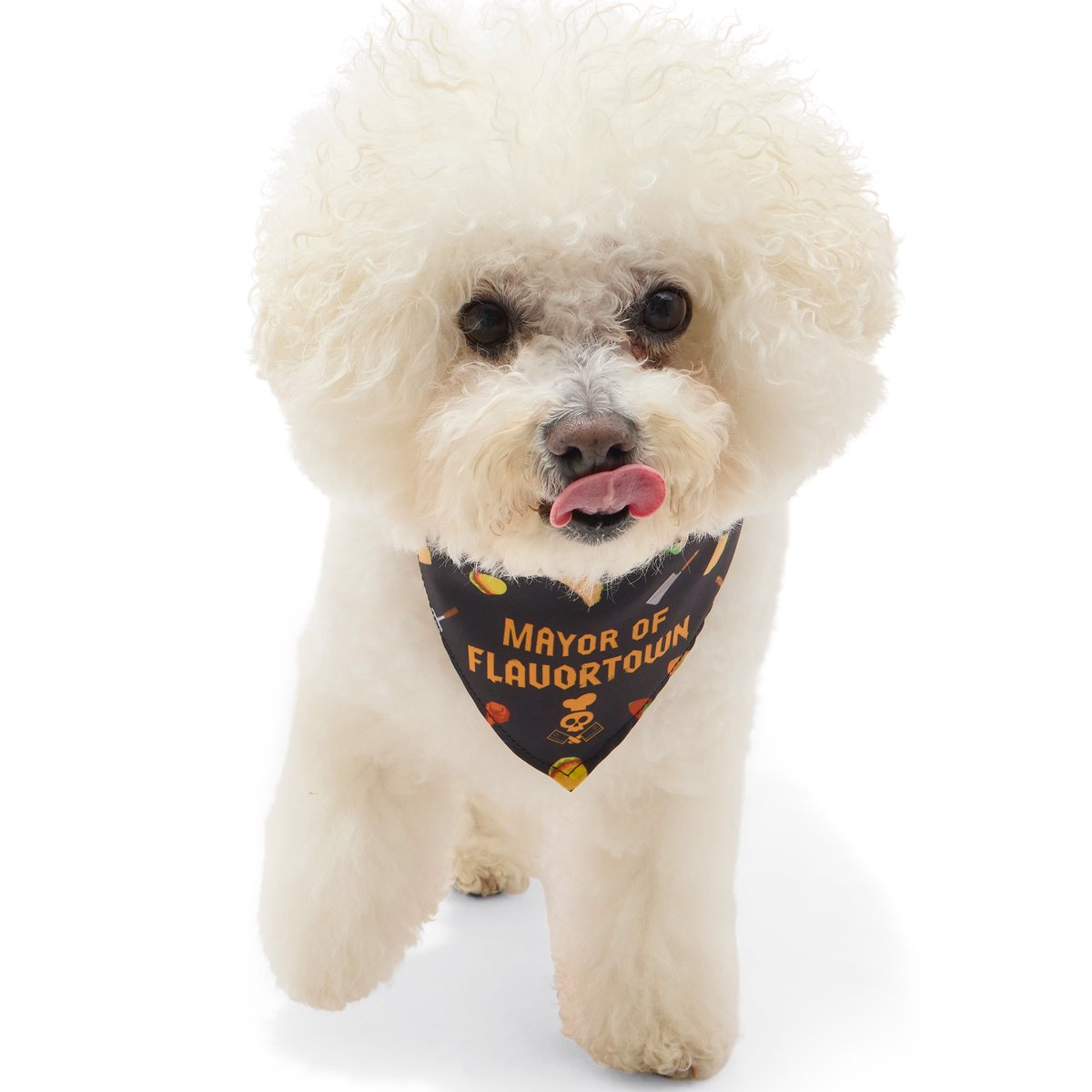 Flavortown™ Dog Bandana - Image 12