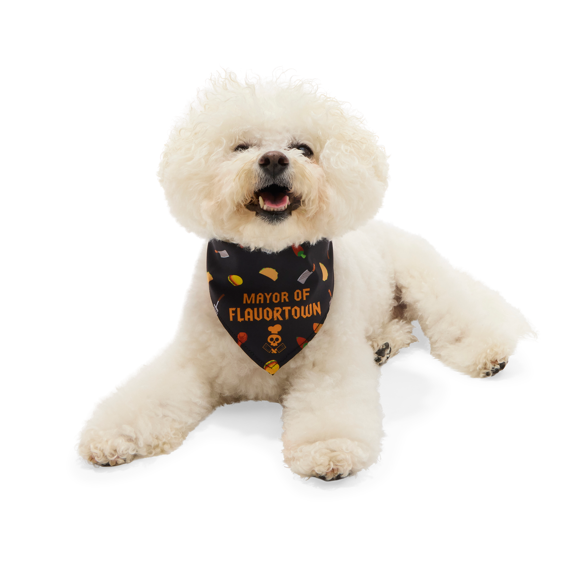 Flavortown™ Dog Bandana - Image 6