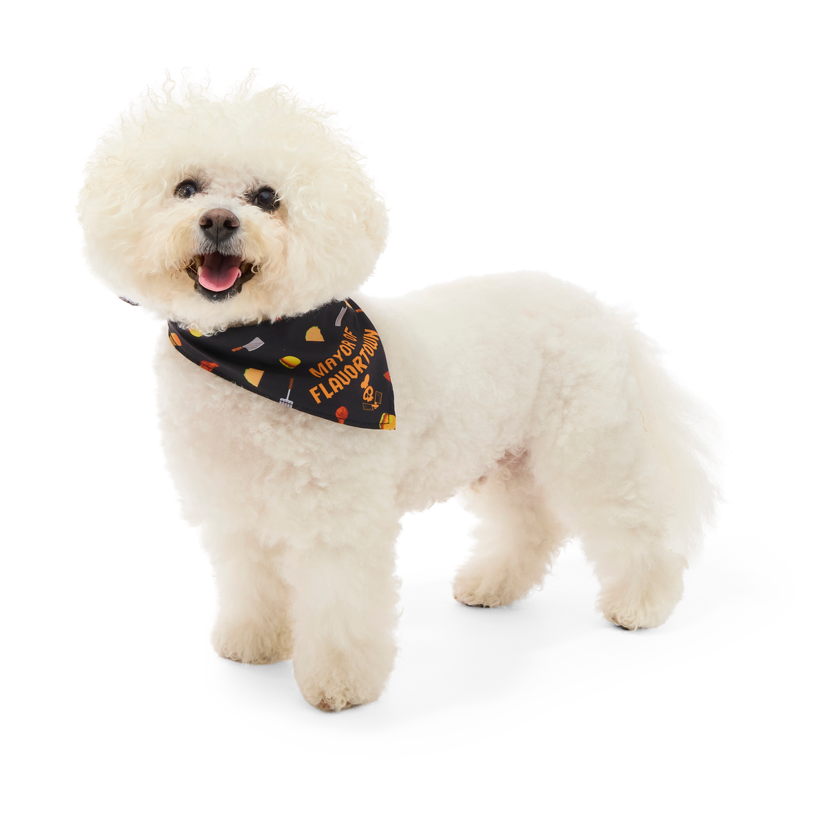 Flavortown™ Dog Bandana - Image 11