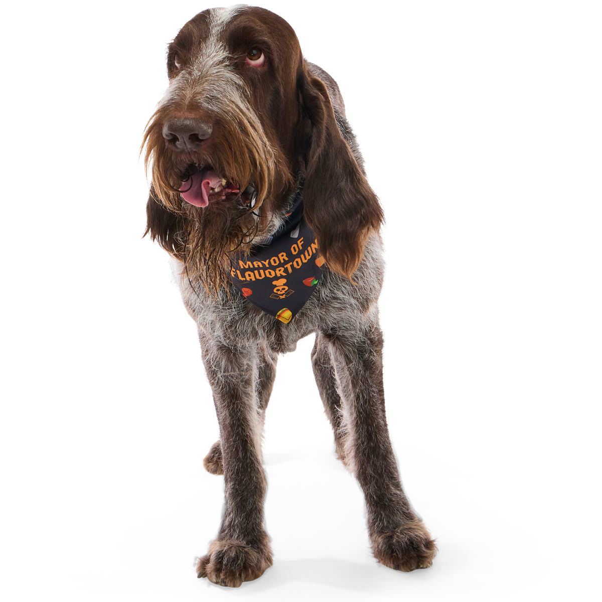Flavortown™ Dog Bandana - Image 8
